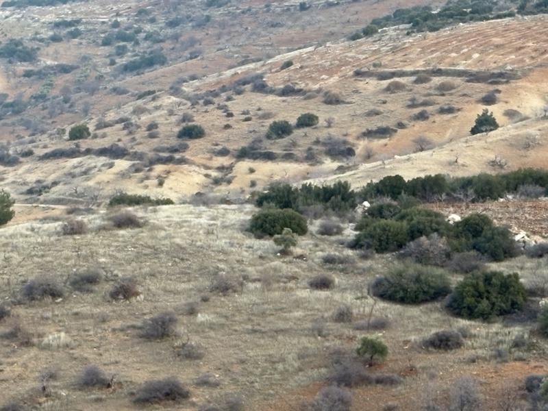 GAZİANTEP NİZİP'DE 53.004 M2 SATILIK FISTIK BAHÇESİ